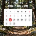 홈플러스 6월 휴무일 완벽 정리 2026년 6월 홈플러스 휴무일 표와 지역별 매장 정보