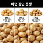 감자 10kg 가격 비교 꿀팁 감자 10kg 다양한 품종 비교 사진