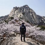 윗세오름 철쭉 영실코스 산행 정보 윗세오름 철쭉 동산과 한라산 남벽 풍경