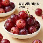 앵두 먹는법 제철 효능 보관 꿀팁 앵두 열매를 그릇에 담은 사진, 붉고 싱싱한 앵두의 제철 먹는법과 보관법을 설명