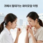 귀 냄새 원인과 해결 방법 귀에서 냄새가 나는 외이도염과 중이염의 차이를 보여주는 의학 일러스트