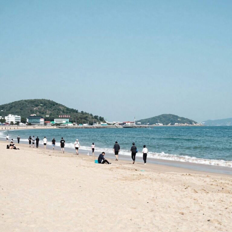 주문진 해수욕장 백사장 전경