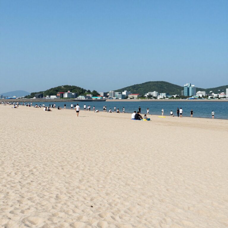 경포 해수욕장 여름 풍경, 하늘이 맑고 백사장이 넓게 펼쳐진 모습