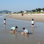 양양 남애3리 해수욕장 아이와 물놀이 주차 팁 양양 남애3리 해수욕장에서 아이들이 얕은 수심에서 물놀이하는 모습