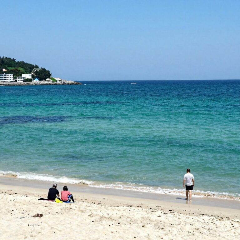 우도 하고수동해수욕장 에메랄드빛 바다와 백사장 풍경