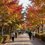 2026년 가을 시기 일정 한눈에 확인 2026년 가을 시기 단풍 절정 시기에 만나는 가을 산책로