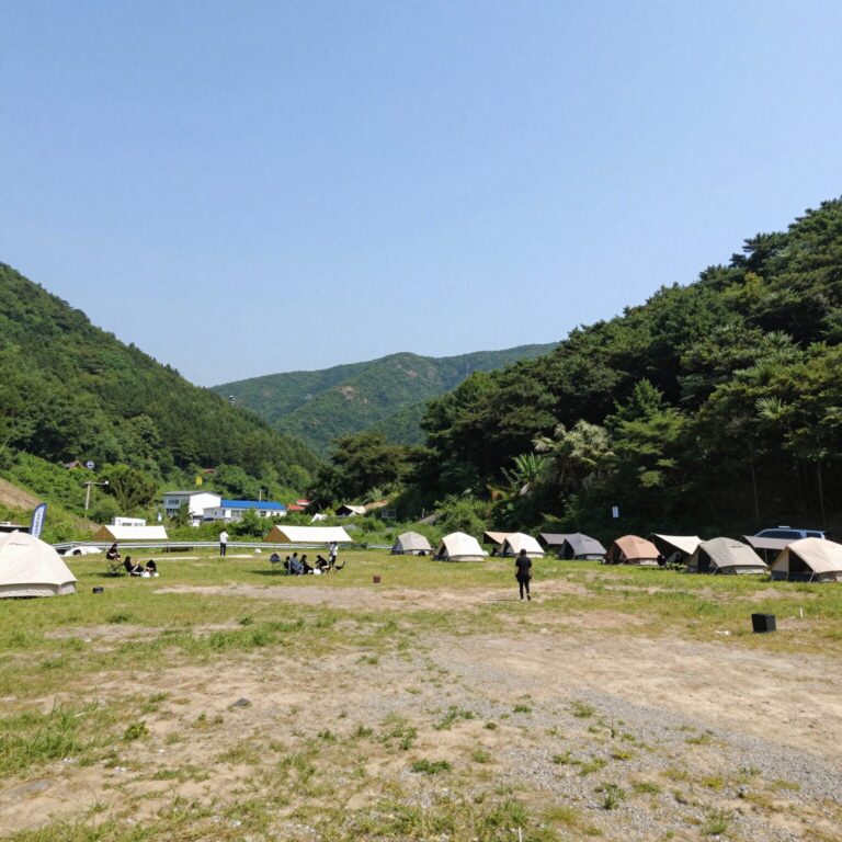 자우림 캠핑장 A6 사이트의 넓은 공간과 그늘, 계곡이 보이는 전경