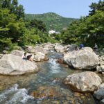 괴산 쌍곡계곡 물소리풍경 평상 예약 이용 안내 괴산 물소리풍경 쌍곡계곡 평상에서 바라본 시원한 계곡 풍경
