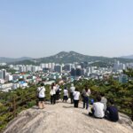 전현무 계획 4 대전 명소 완벽 분석 전현무 계획 4 대전 보문산 전망대 풍경