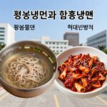 평양냉면 함흥냉면 차이 완벽 비교 맛 식감 육수 평양냉면과 함흥냉면 비교 사진. 왼쪽은 맑은 육수의 평양물냉면, 오른쪽은 매콤한 양념의 함흥비빔냉면
