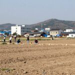 세종시 연서면 와촌리 토지 투자 전경