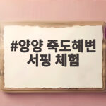 양양 죽도해변 서핑 체험