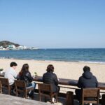 양양 잔교리해변 캠핑과 카페 여행 양양 잔교리해변 앞 모하나 카페에서 바라본 바다 풍경