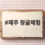 제주 청귤체험 풋귤따기와 청만들기 제주 청귤체험