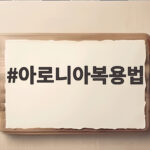 아로니아 하루 복용법 총정리 아로니아복용법