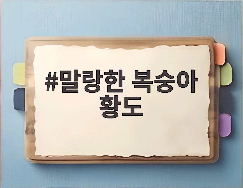 말랑한 복숭아 황도