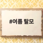 여름 탈모 해결을 위한 두피 클렌징 여름 탈모