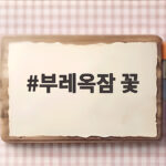 부레옥잠 꽃
