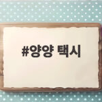 양양 택시 예약 비용과 후기 총정리 양양 택시