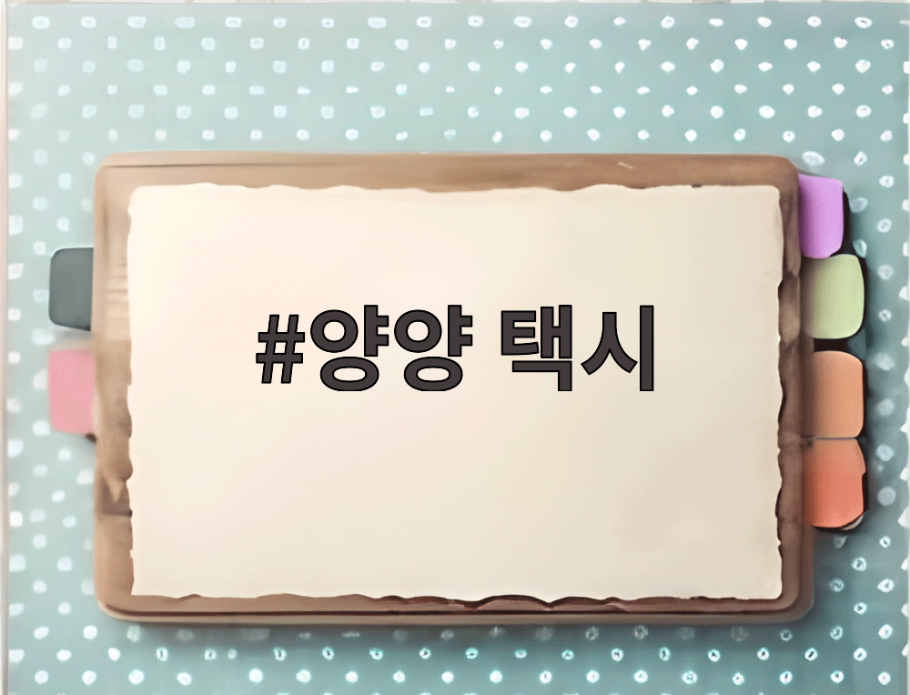 양양 택시