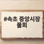 속초 중앙시장 물회 포장 맛집 솔직 후기 속초 중앙시장 물회