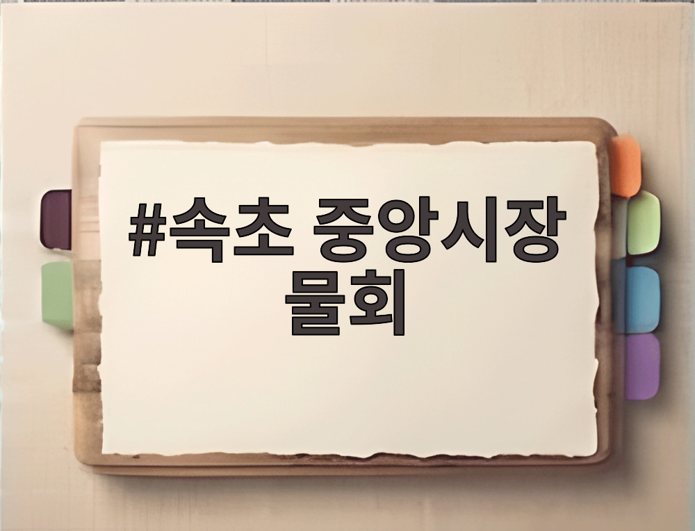 속초 중앙시장 물회