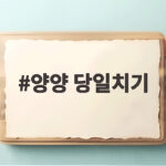 양양 당일치기 알찬 코스 추천 양양 당일치기