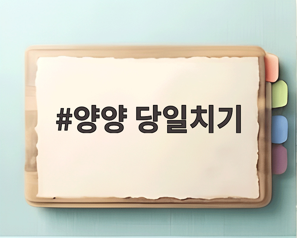 양양 당일치기