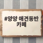 양양 애견동반 카페