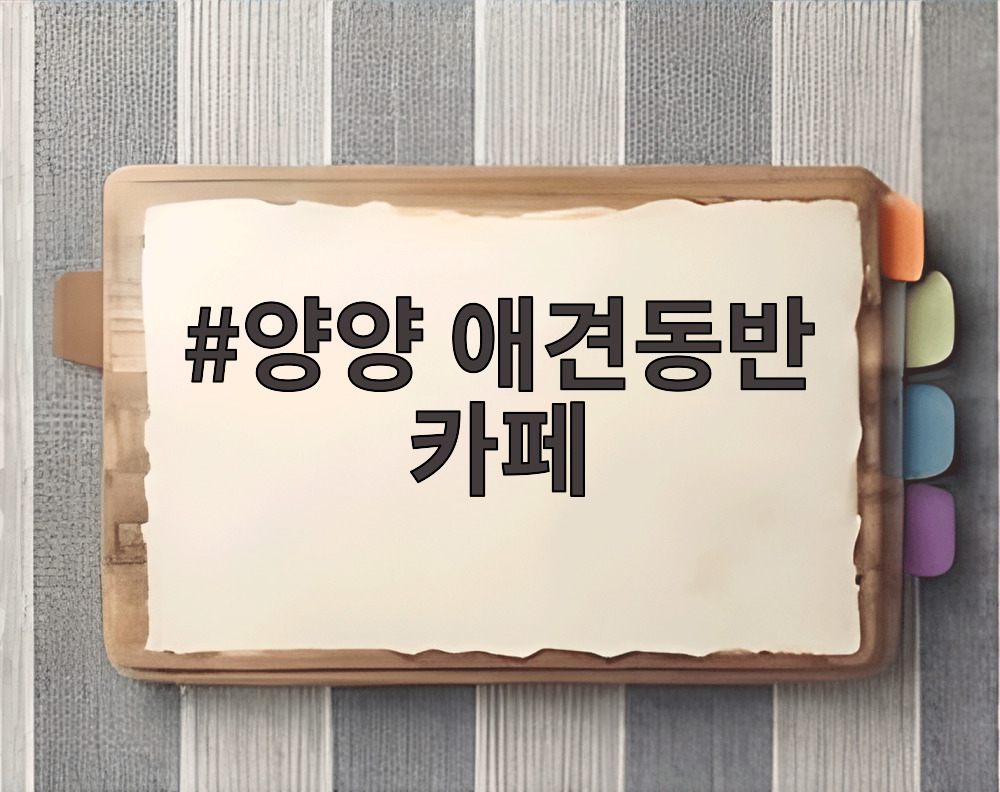 양양 애견동반 카페