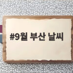 9월 부산 날씨