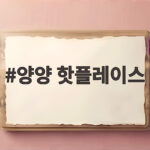 양양 핫플레이스