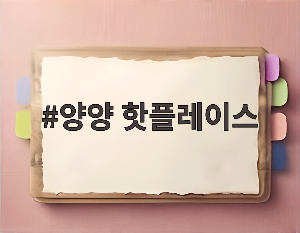 양양 핫플레이스