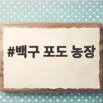 백구 포도 농장 캠벨 포도 직거래 체험기 백구 포도 농장