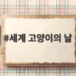 세계 고양이의 날 반려묘 건강 챙기기 세계 고양이의 날