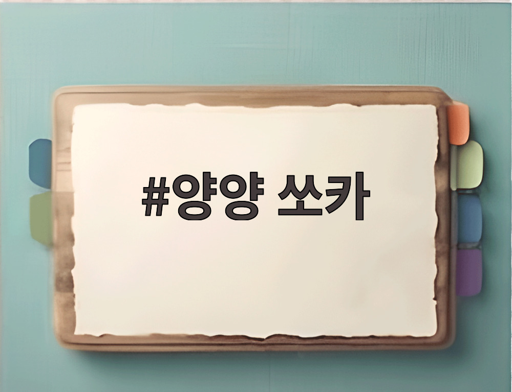 양양 쏘카