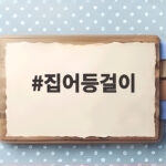 집어등걸이 교체 후 갈치낚시 성공률 급상승 집어등걸이
