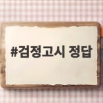 검정고시 정답