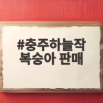 충주하늘작 복숭아 판매