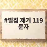 벌집 제거 119 문자