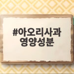 아오리사과 영양성분 효능 제철 정리 아오리사과 영양성분