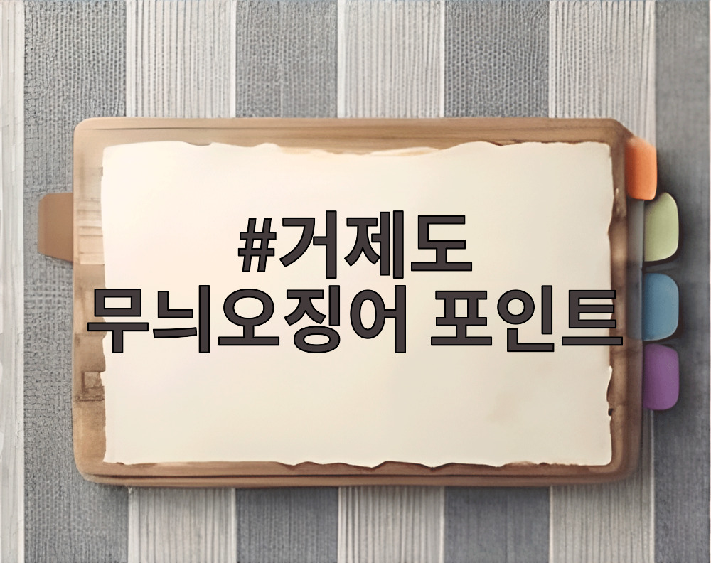 거제도 무늬오징어 포인트