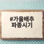 가을배추 파종시기