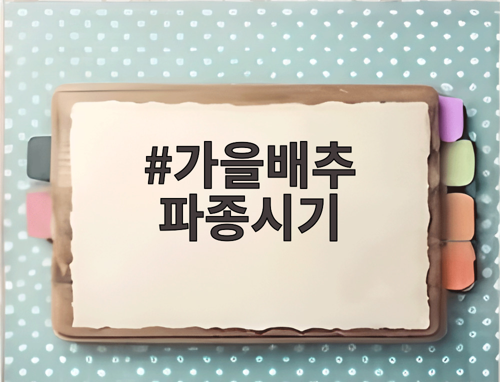 가을배추 파종시기