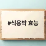 여름철 식용박 효능과 맛있는 먹는 법 식용박 효능