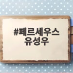2026 페르세우스 유성우 관측 안내 페르세우스 유성우