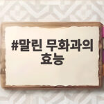 말린 무화과의 효능 2000자 총정리 말린 무화과의 효능