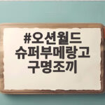 오션월드 슈퍼부메랑고 구명조끼 비용 절약 오션월드 슈퍼부메랑고 구명조끼