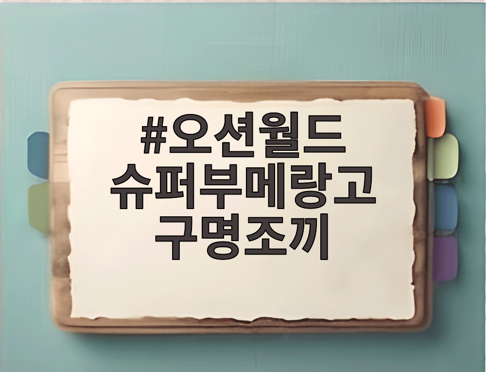 오션월드 슈퍼부메랑고 구명조끼