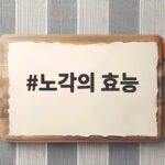 노각 효능과 아삭한 노각무침 레시피 노각의 효능